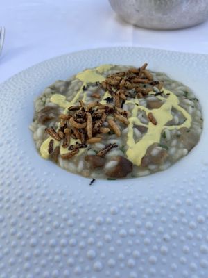   at Mater Terrae in Rome