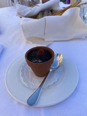   at Mater Terrae in Rome