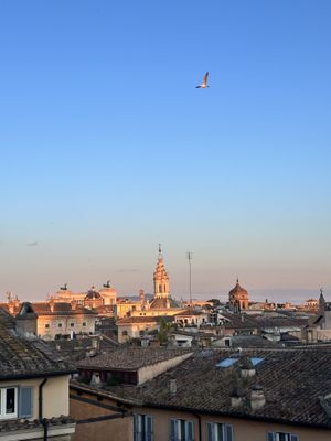   at Mater Terrae in Rome