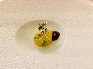 Amuse bouche  at Mater Terrae in Rome