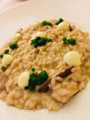 Risotto ai funghi at Mater Terrae in Rome