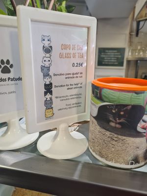  at Veganeats Caffe in Lisbon