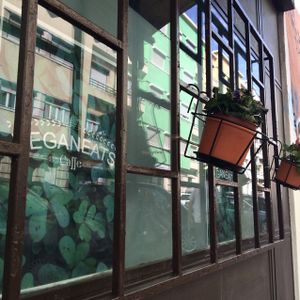 plant friends  at Veganeats Caffe in Lisbon