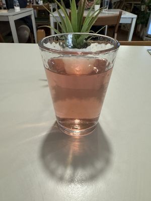 Tea  at Veganeats Caffe in Lisbon