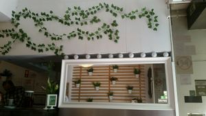 New decoration at Veganeats Caffe in Lisbon