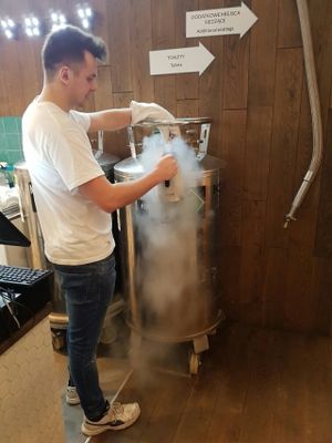 more vegan at N'Ice Cream Factory in Warsaw