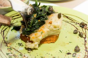 EmChi at EmChi in Novi Sad