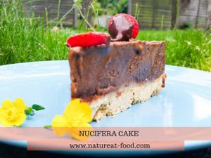 vegan ice cream cake at Natureat in East London