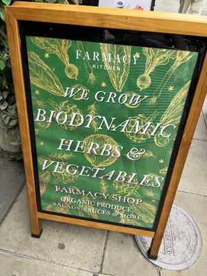 Not so much of a shop  at Farmacy in West London