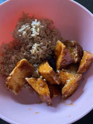 General Tsos tofu & vegan fried rice at Sun Tong Luck Asian Cuisine in Columbus