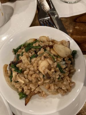 Farro with kale/mushrooms delicious  at Hilo Bay Cafe in Hilo
