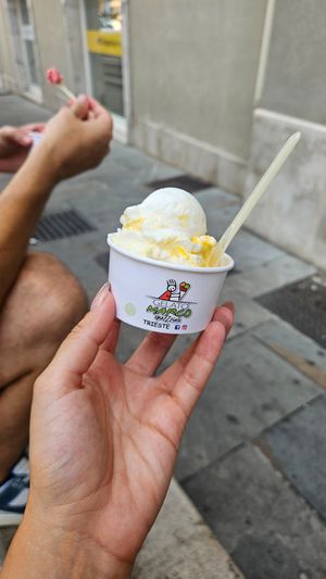 Loco cocco at Gelato Marco in Trieste