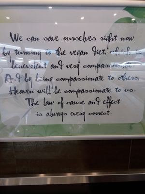 Great vegan pic at Loving Hut in Fairfield