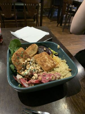   at Funky Jungle in Mechelen