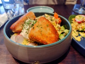 Cheese croquettes for a starter at Funky Jungle in Mechelen