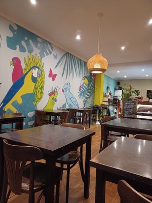 Inside at Funky Jungle in Mechelen