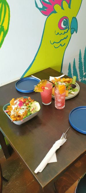  at Funky Jungle in Mechelen