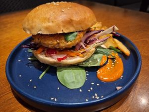  at Funky Jungle in Mechelen