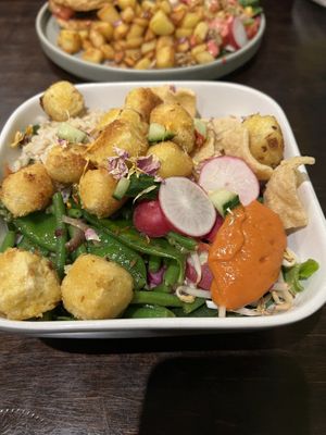   at Funky Jungle in Mechelen