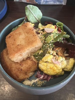   at Funky Jungle in Mechelen