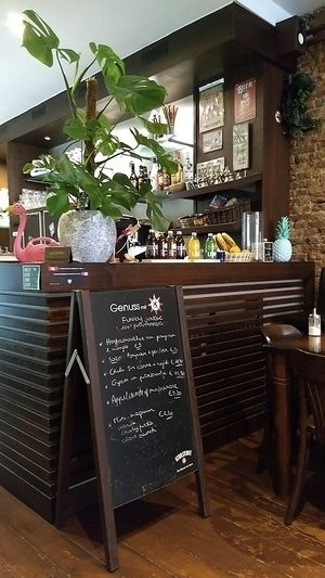 counter/bar at Funky Jungle in Mechelen