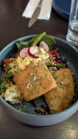 Cheese croquettes at Funky Jungle in Mechelen