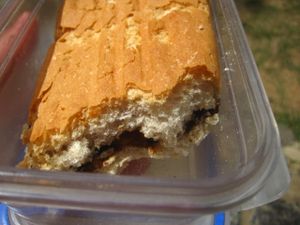 Seitan sandwich! It's bread, seitan and nothing else. at La Berenjena in Vinales