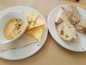 Starter at Clorofil-la in Mahon