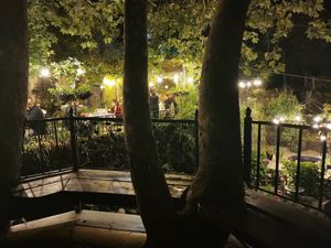 Sitting in the tree overlooking the dining area at The Lost Unicorn Restaurant in Tsagarada