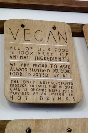 Really great vegan ethics at Cafe Kino in Bristol