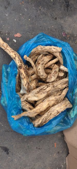 root? at Pryvoz Market in Odessa