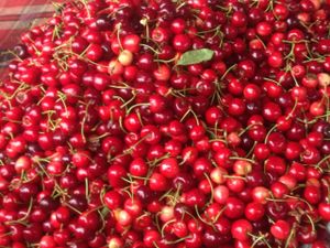 Sweet cherries  at Pryvoz Market in Odessa