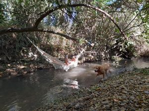  at Finca Vegana in Zahara De La Sierra