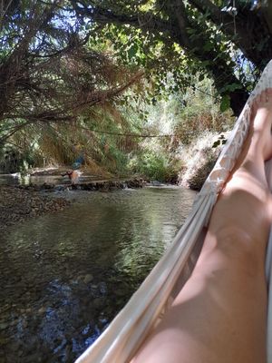  at Finca Vegana in Zahara De La Sierra