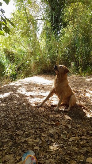  at Finca Vegana in Zahara De La Sierra