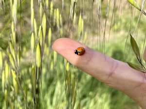 Glück  at Finca Vegana in Zahara De La Sierra