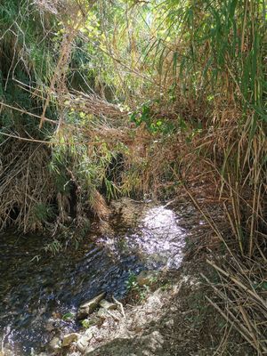 River close to the Finca at Finca Vegana in Zahara De La Sierra