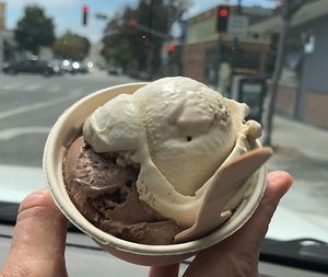 Maple Walnut and Orange Chocolate Chip at Mr. Dewie's Cashew Creamery in Albany