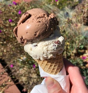 Orange Chocolate Chip and Mint Chip at Mr. Dewie's Cashew Creamery in Albany