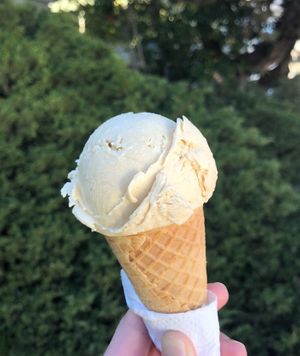 Roasted Cashew.  I can’t pick favorites, but this one is amazing.  So creamy and delicate and flavorful.    at Mr. Dewie's Cashew Creamery in Albany
