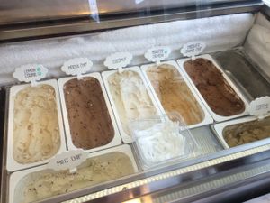 Mr. Dewie's cashew ice cream flavors, pt. 2 at Mr. Dewie's Cashew Creamery in Albany
