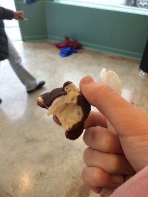 Vegan ice cream bonbons! at Mr. Dewie's Cashew Creamery in Albany