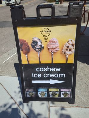 Outside at Mr. Dewie's Cashew Creamery in Albany