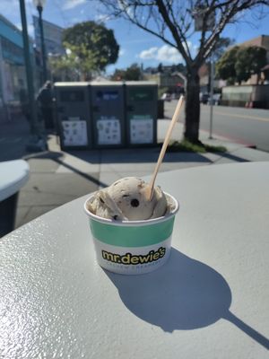 Mint chip at Mr. Dewie's Cashew Creamery in Albany