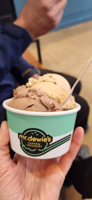  at Mr. Dewie's Cashew Creamery in Albany