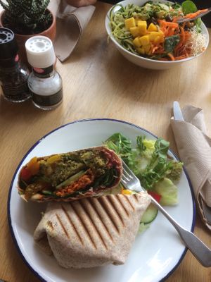 Falafel wrap and tempeh bowl. at Oogst in Alkmaar