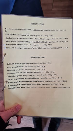 Parts of the menu at Vyro Raw & Vegan Bistro in Bucharest