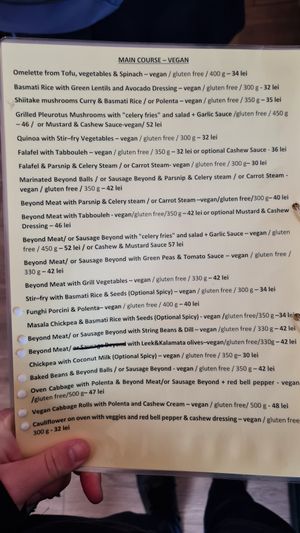 Parts of the menu at Vyro Raw & Vegan Bistro in Bucharest