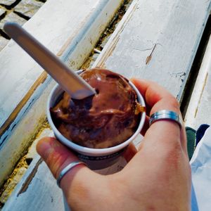 Vegan Sacher at Zvezda's Ice Cream in Ljubljana