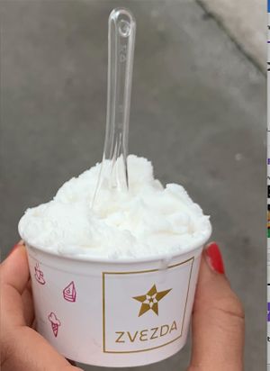 Vegan coconut ice cream at Zvezda's Ice Cream in Ljubljana